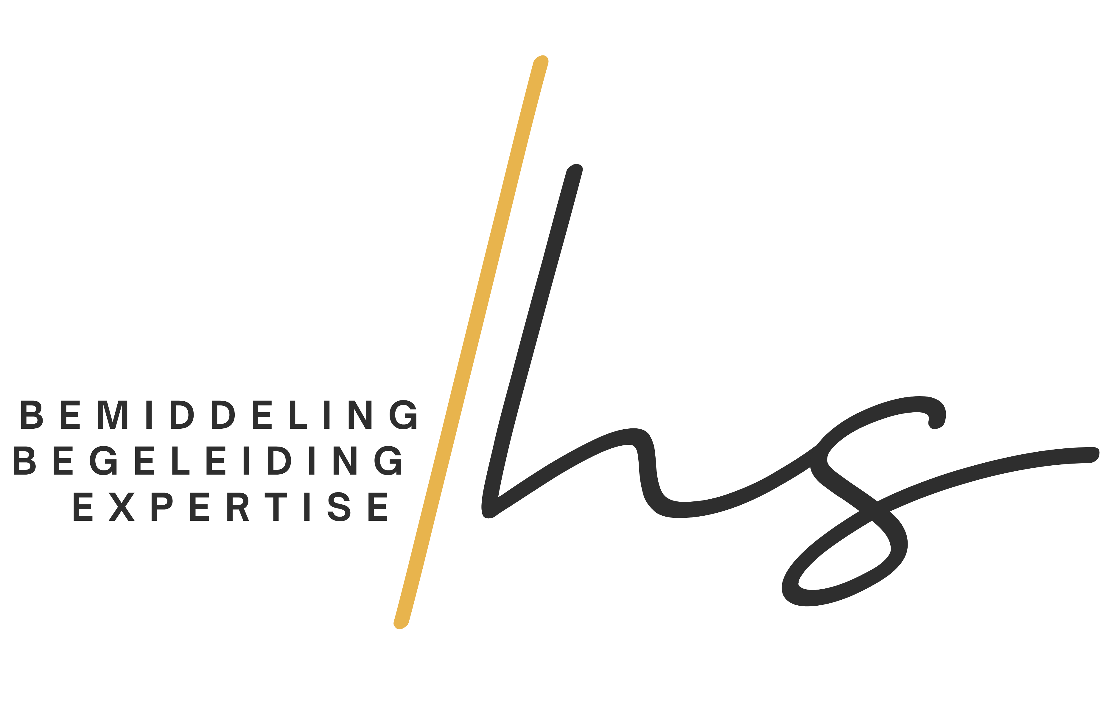 HS logo